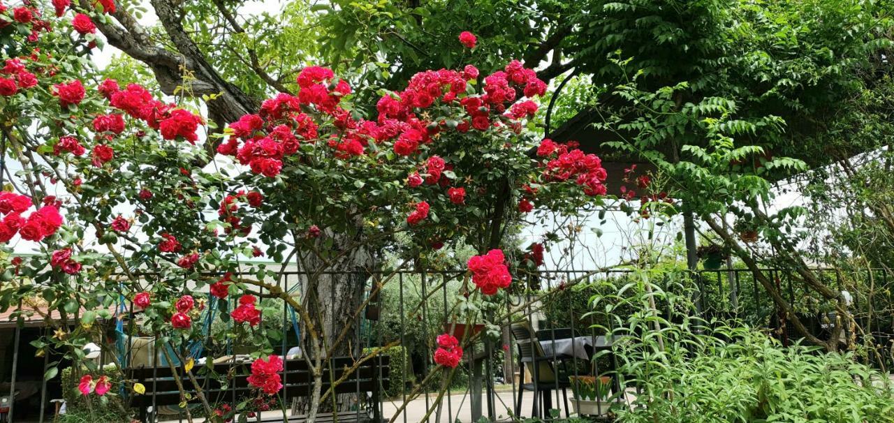 锡耶纳Molino Delle Fate公寓 外观 照片